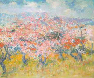 Blossoms