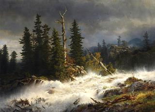 Whitewater in a Norwegian Forest Landscape
