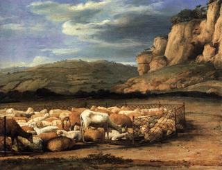 平原上的羊群