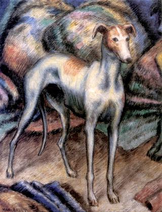 Greyhound