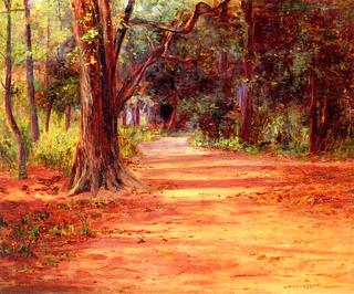 A Wooded Lane