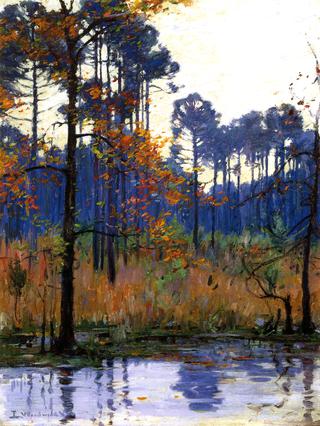 Winter in Southern Louisiana