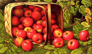 Basket of Apples