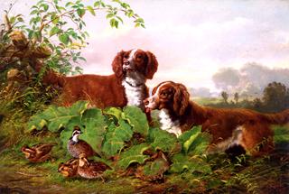 Two Setters and Quail