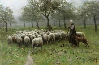 牧羊女和羊群