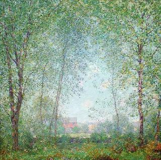 Verdant Country Landscape