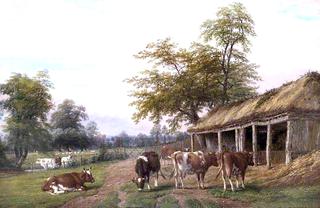 Farmyard near Leamington