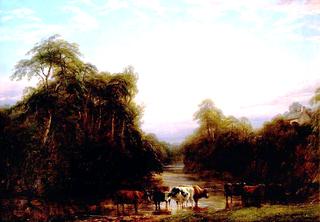 Landscape and Cattle