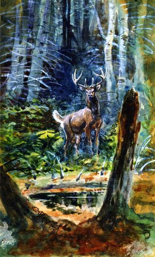 Deer in the Dell