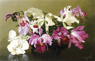 Orchids