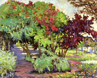 A Flowering Garden with Trees in the Summer