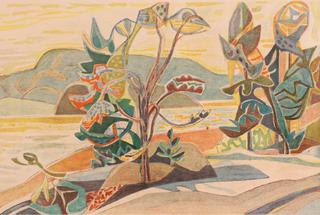 Landscape