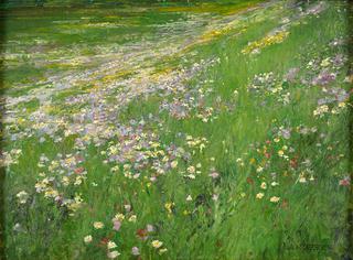 The Flowering Meadow