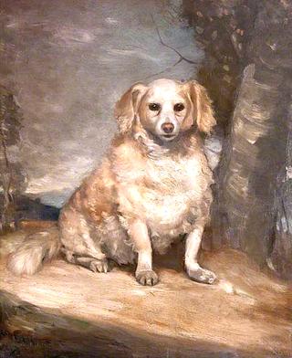 Old Dog Seated by a Tree