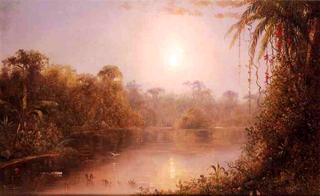 Tropical River Scene