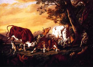 Wolves Attacking Cattle