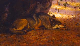 The Sleeping Wolf