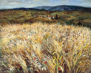 Wheat field and village in Provence