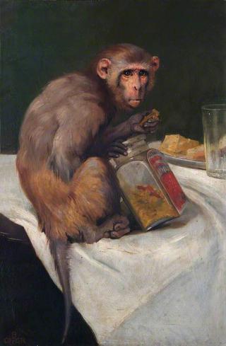 Monkey and a Jar