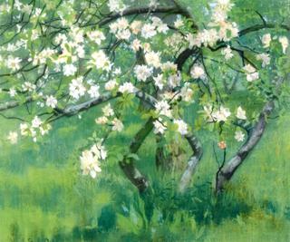 Apple Tree in Blossom