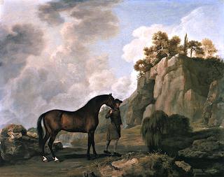 The Marquess of Rockingham's Arabian Stallion