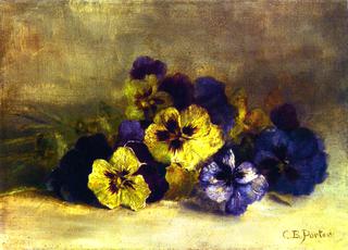 Pansies