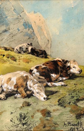 Landscape with grazing calves