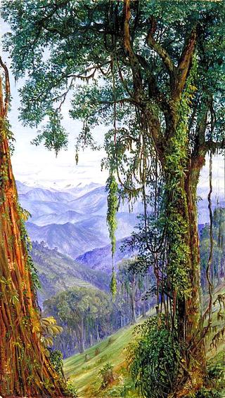 View from Rungaroon near Darjeeling, India