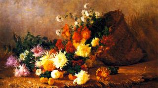 Chrysanthemums