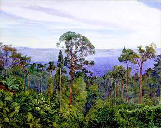 View of the Matang over the Great Swamp, Sarawak, Borneo