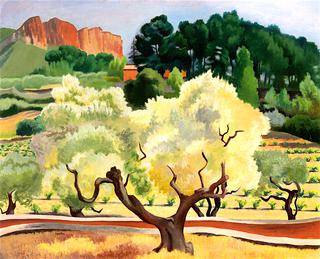 Olive Grove at Cassis