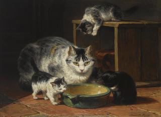 a mother cat and her kittens