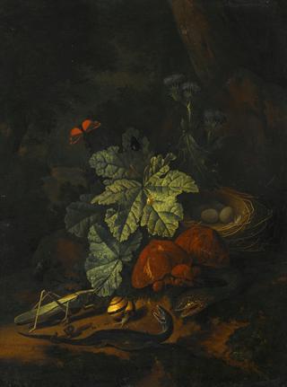 A Forest Floor Still Life with a Snake, a Snail, a Grasshopper, a Worm, a Lizard, etc.