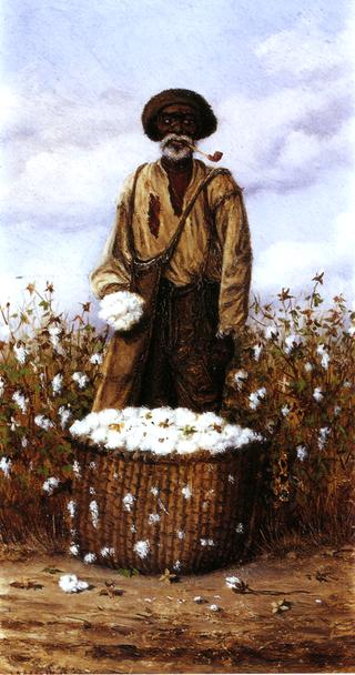 Negro Man in Cotton Field with Basket of Cotton