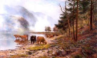 Rising Mists, Loch Eck