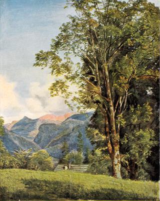 Ahorn near Bad Ischl