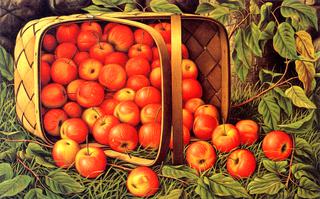 Crab Apples Tumbling from a Basket