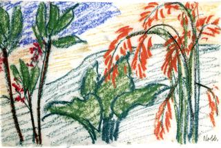 Tropical Plants (red blossoms)