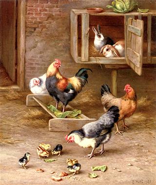 Chicks, Chickens and Rabbits in a Hutch