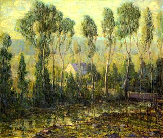 Poplars along a River