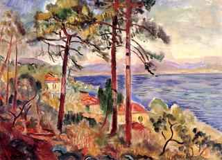 Pines at St. Tropez