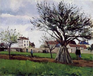 Apple Trees at Pontoise