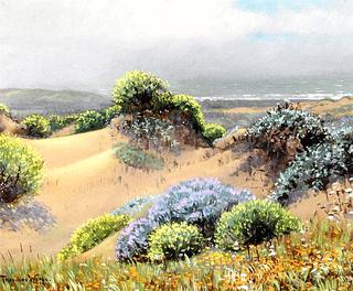 San Francisco Dunes