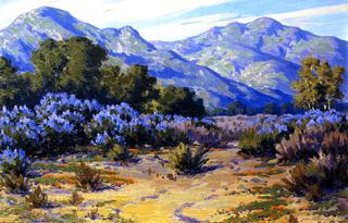 Bush Lupine, Ojai Valley