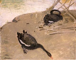 Two Black Swans on a Bank