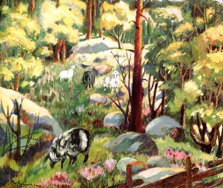 Landscape with Sheep