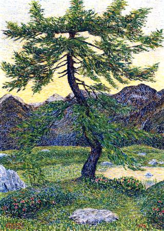 Pine in Mountain Landscape