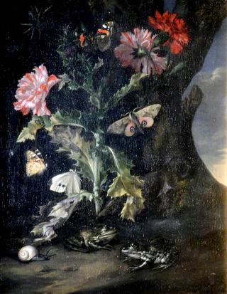 Still Life with Carnations and Frogs