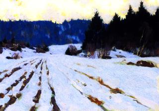 Furrows on the Snow
