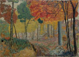 Deer in a Forest